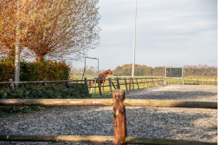 Droomeind vakantiewoningen met paardenhotel VMP116